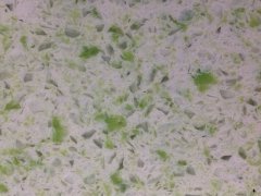 复色系列：雨后春芽